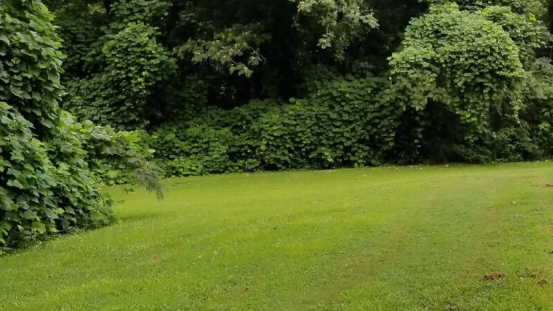 Shoal Creek Park II - Decatur, GA