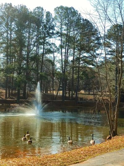 Summergate Park - Decatur, GA
