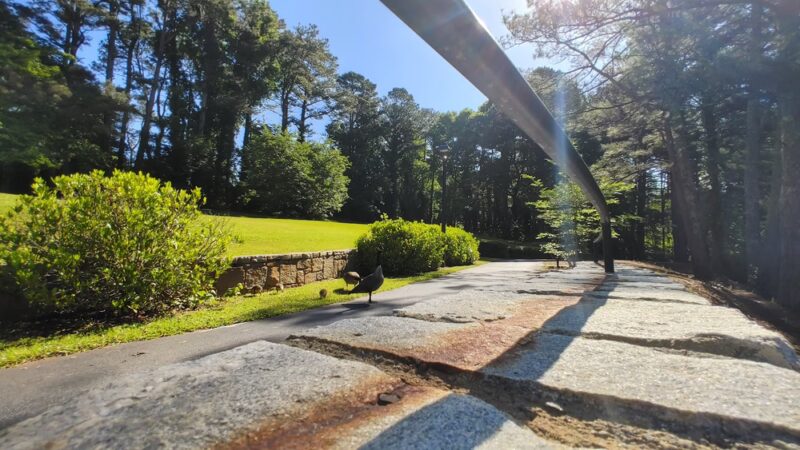 Summergate Park - Decatur, GA