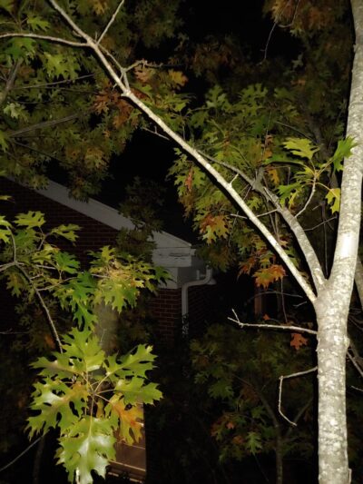 Winnona Park - Decatur, GA