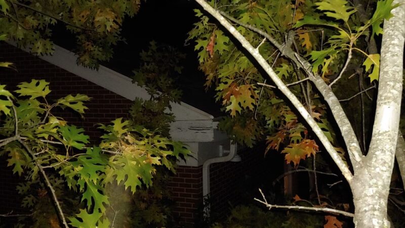 Winnona Park - Decatur, GA