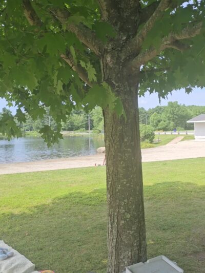 Plattwood Park - Deep River, CT