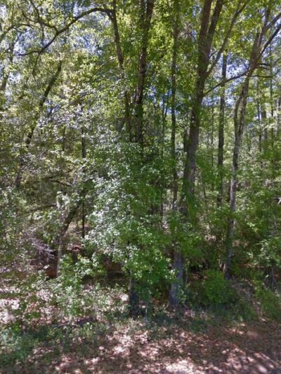 Deer Park - Deer Park, AL