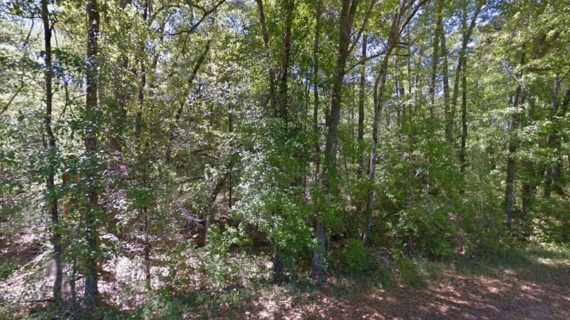 Deer Park - Deer Park, AL