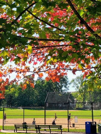 Maplewood Park - Deerfield, IL