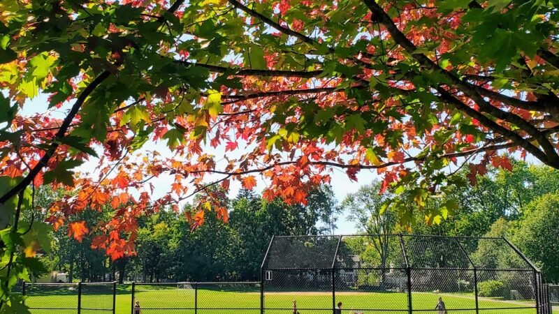 Maplewood Park - Deerfield, IL