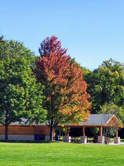 Woodland Park - Deerfield, IL