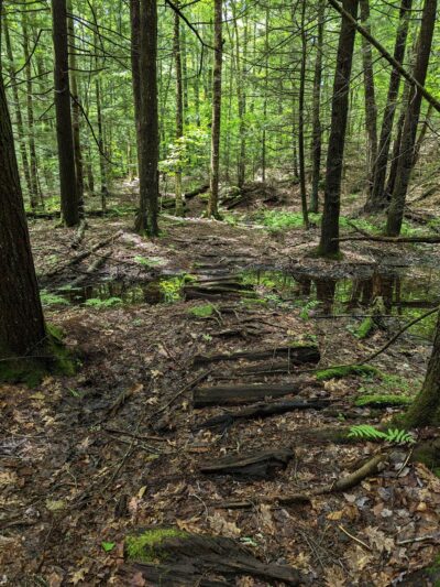 Great Brook Trail Parking Area - Deerfield, NH