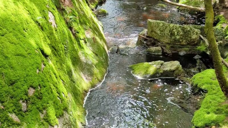 Great Brook Trail Parking Area - Deerfield, NH