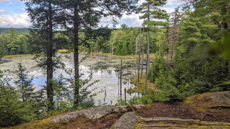 Great Brook Trail Parking Area - Deerfield, NH