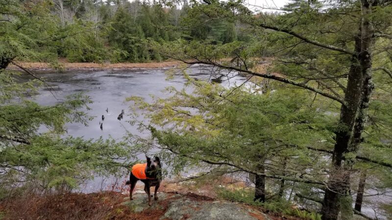 Great Brook Trail Parking Area - Deerfield, NH