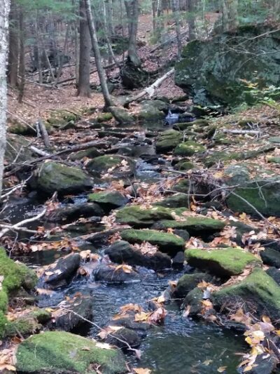 Greatbrook Trail Coffeetown rd Entrance - Deerfield, NH