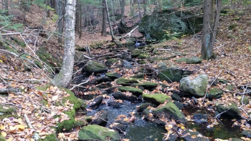 Greatbrook Trail Coffeetown rd Entrance - Deerfield, NH