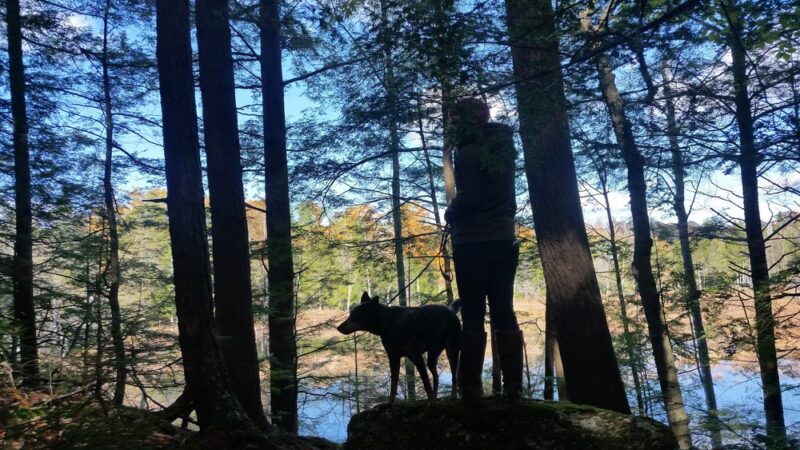 Greatbrook Trail Coffeetown rd Entrance - Deerfield, NH
