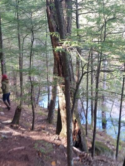 Greatbrook Trail Coffeetown rd Entrance - Deerfield, NH
