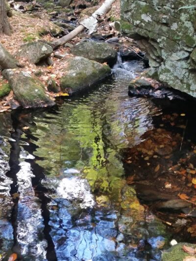 Greatbrook Trail Coffeetown rd Entrance - Deerfield, NH