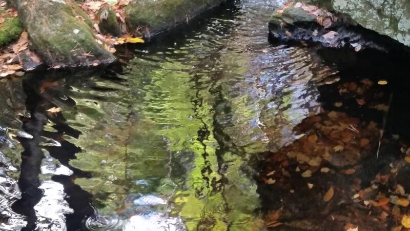 Greatbrook Trail Coffeetown rd Entrance - Deerfield, NH