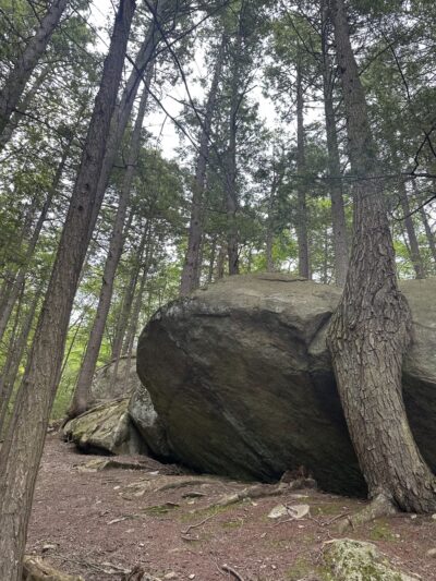 North Mountain Trail Parking - Deerfield, NH