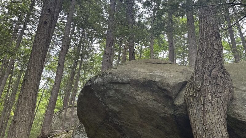 North Mountain Trail Parking - Deerfield, NH