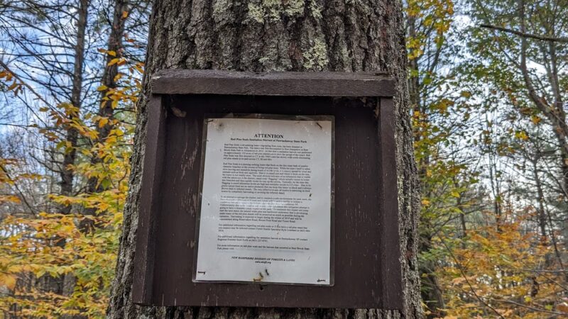 North Mountain Trail Parking - Deerfield, NH