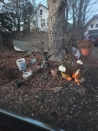 The Deerfield Dog - Deerfield, NH