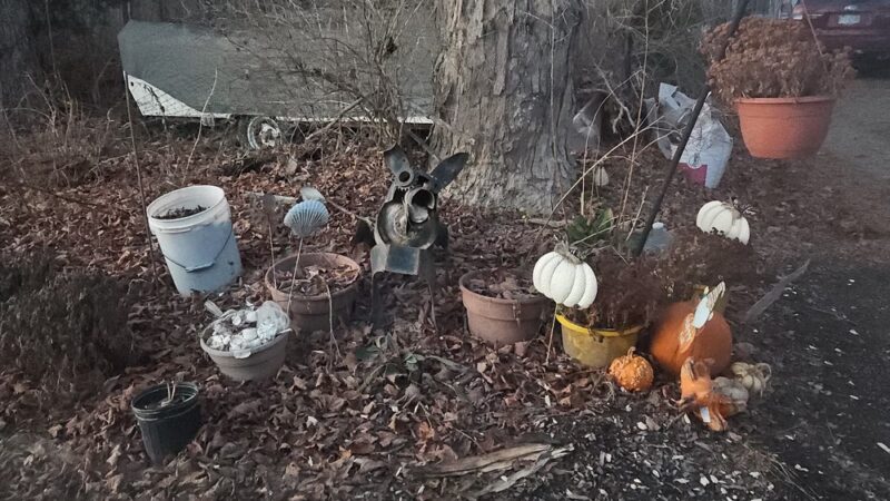 The Deerfield Dog - Deerfield, NH