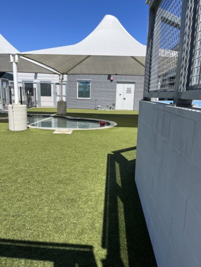 Bark & Zoom - Del Valle, TX