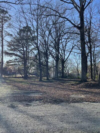 The Road Less Traveled - Delano, TN
