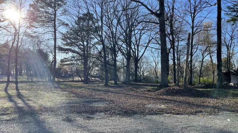 The Road Less Traveled - Delano, TN