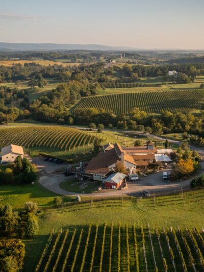 Barrel Oak Winery and Brewery - Delaplane, VA