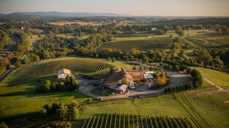 Barrel Oak Winery and Brewery - Delaplane, VA