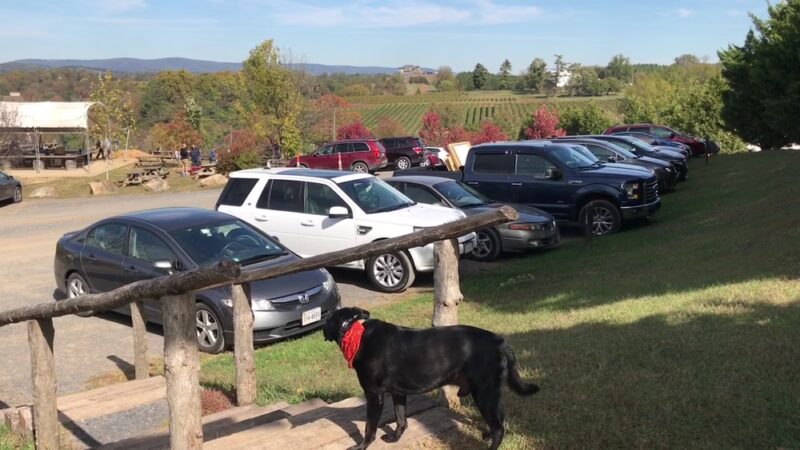 Barrel Oak Winery and Brewery - Delaplane, VA