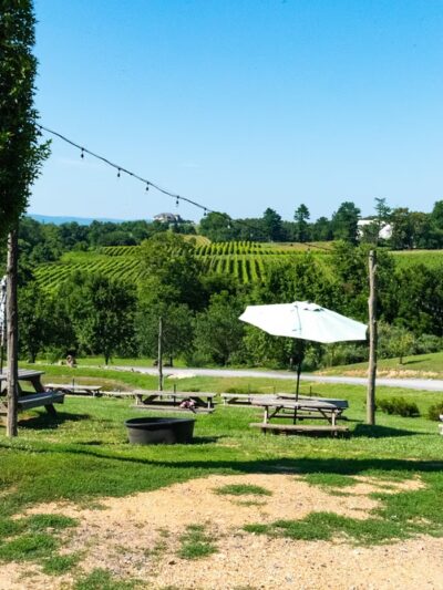 Barrel Oak Winery and Brewery - Delaplane, VA