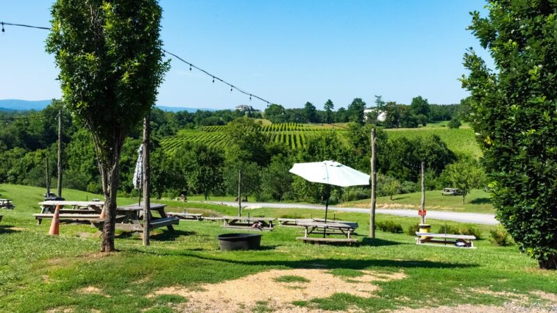 Barrel Oak Winery and Brewery - Delaplane, VA