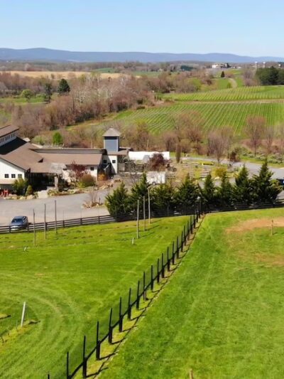 Barrel Oak Winery and Brewery - Delaplane, VA