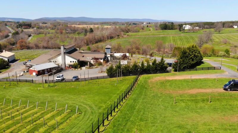Barrel Oak Winery and Brewery - Delaplane, VA