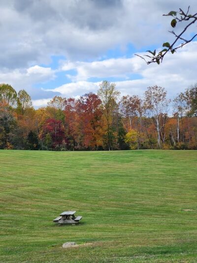 Cobbler Mountain Cellars, LLC - Delaplane, VA