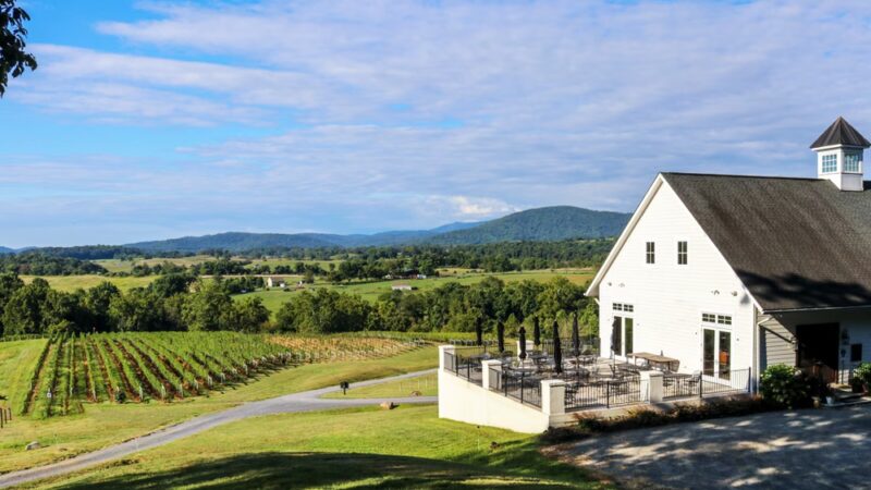 Delaplane Cellars - Delaplane, VA