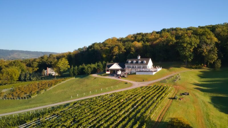 Delaplane Cellars - Delaplane, VA