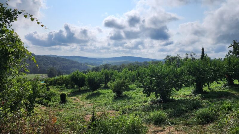 Hollin Farms - Delaplane, VA