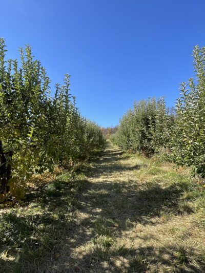 Hollin Farms - Delaplane, VA