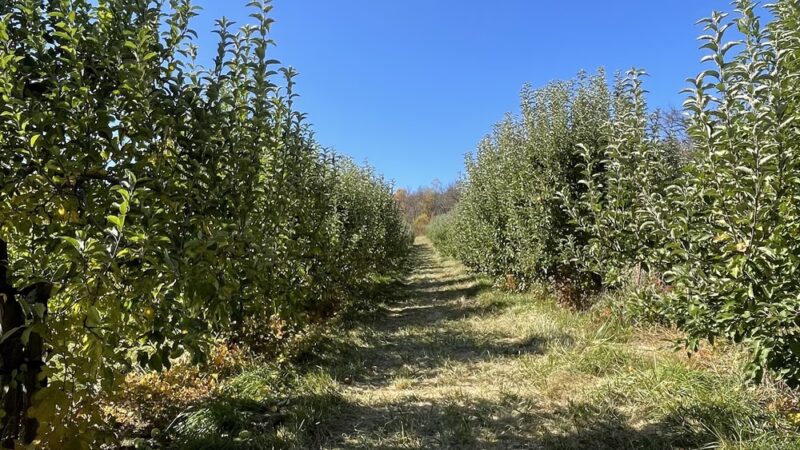 Hollin Farms - Delaplane, VA