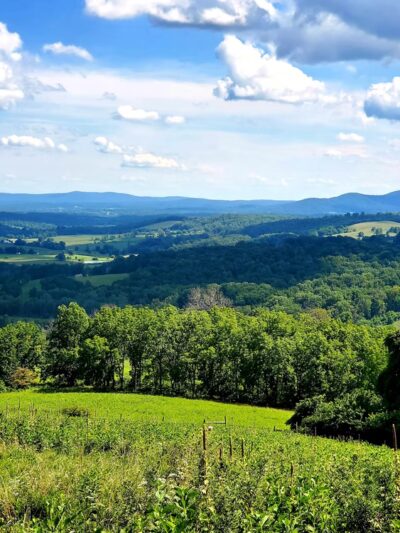 Sky Meadows State Park - Delaplane, VA
