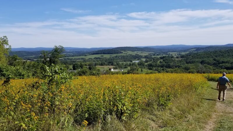 Sky Meadows State Park - Delaplane, VA
