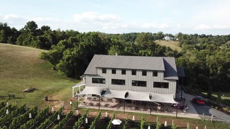 Three Fox Vineyards & Farm Brewery - Delaplane, VA
