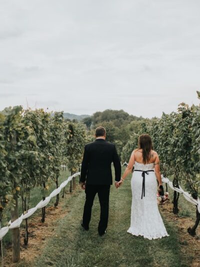 Three Fox Vineyards & Farm Brewery - Delaplane, VA