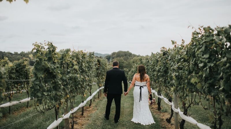 Three Fox Vineyards & Farm Brewery - Delaplane, VA