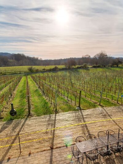 Three Fox Vineyards & Farm Brewery - Delaplane, VA