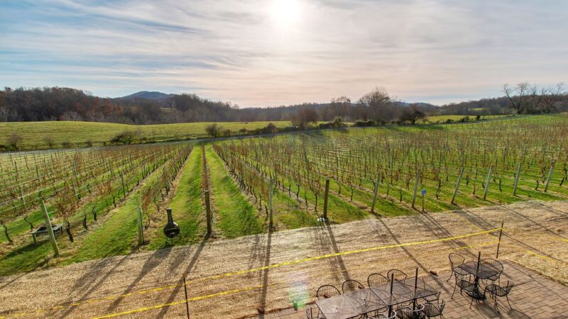 Three Fox Vineyards & Farm Brewery - Delaplane, VA