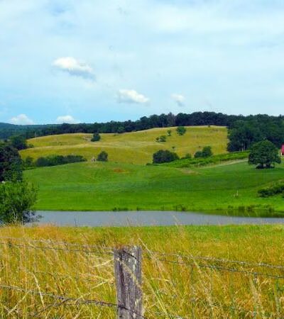 Valley View Farm - Delaplane, VA